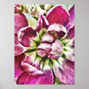 Magenta Blume Abstrakte Fotografie Poster