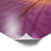 Magenta-Blume Fotodruck (Ecke)