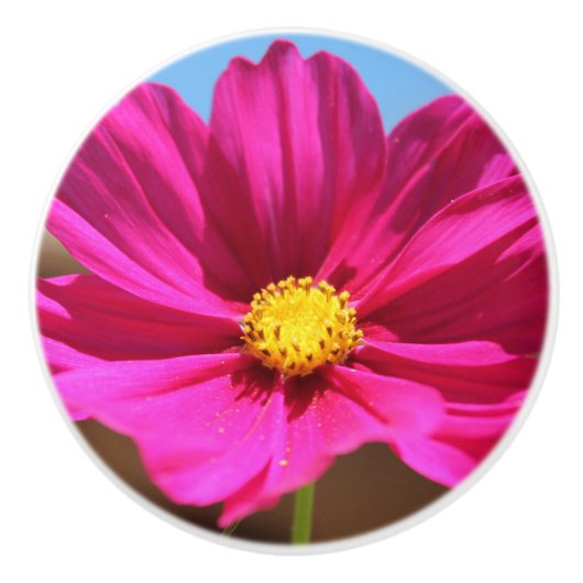 Magenta-Blume Keramikknauf (Vorderseite)