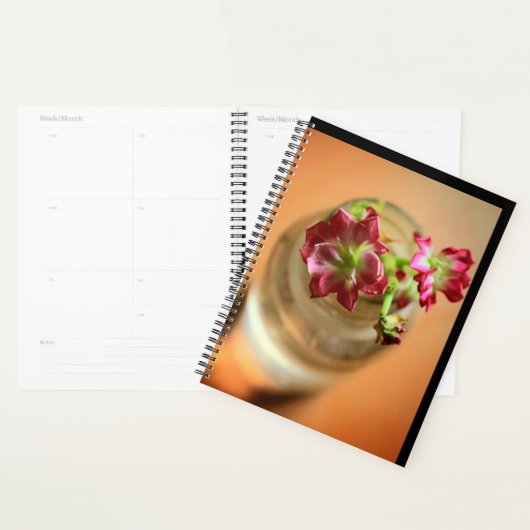 Magenta-Blume Planer (Anzeige)