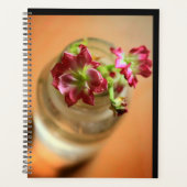 Magenta-Blume Planer (Vorderseite)