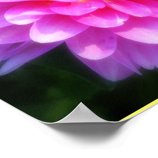 Magenta Blume Poster (Ecke)