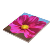 Magenta-Blüte Fliese (Seite)