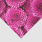 Magenta Chrysanthemum Floral Tissue Seidenpapier (Detail)