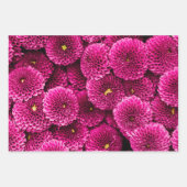 Magenta Chrysanthemum Floral Wrapping Paper Geschenkpapier Set (Vorderseite)