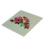 Magenta Clematis mit Wein Fliese (Seite)