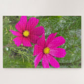 Magenta Cosmos, Quebec City Puzzle (Horizontal)