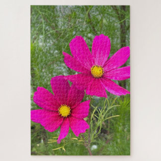 Magenta Cosmos, Quebec City Puzzle