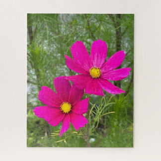 Magenta Cosmos, Quebec City Puzzle