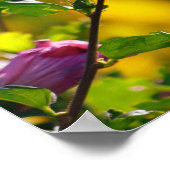 Magenta Floral Sunset Poster (Ecke)