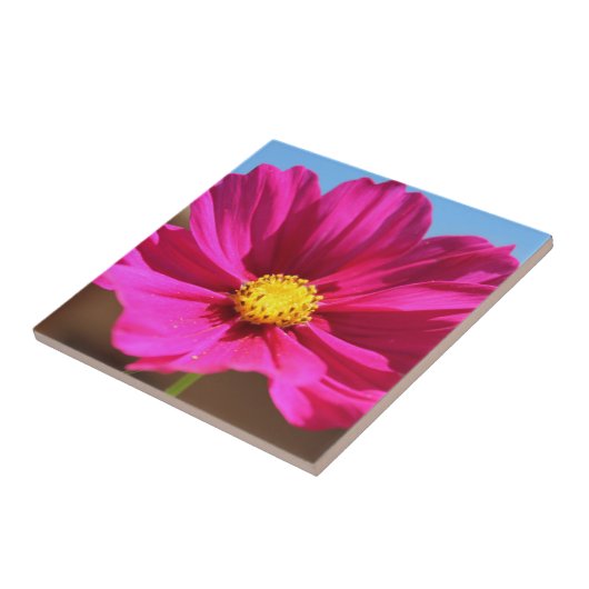 Magenta Flower Fliese (Seite)