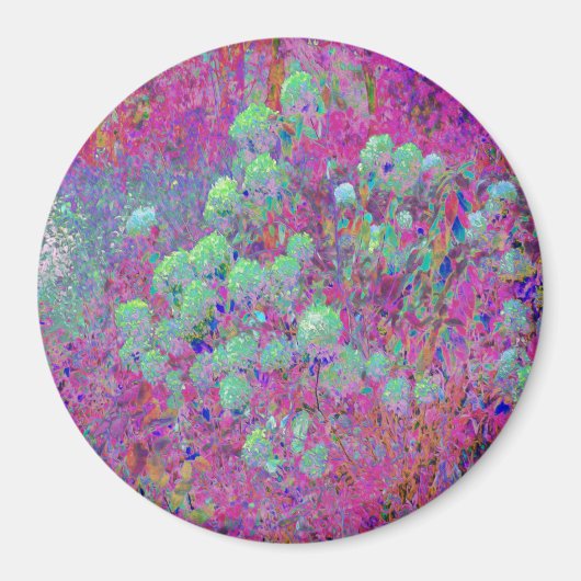 Magenta Garden mit Aqua Hydrangea Blume Magnet (Vorne)