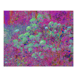 Magenta Garden mit Aqua Hydrangea Blume Poster