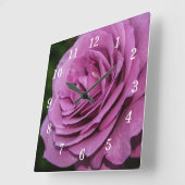 Magenta Garden Rose Uhr (Winkel)