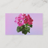 Magenta Geranium Visitenkarte (Rückseite)