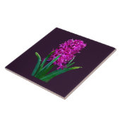 Magenta Hyacinth Fliese (Seite)