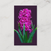 Magenta Hyacinth Visitenkarte (Rückseite)
