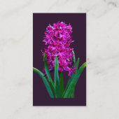 Magenta Hyacinth Visitenkarte (Rückseite)