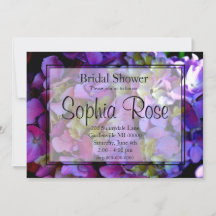 Magenta Lila blaue gelbe Hortensien Blumen