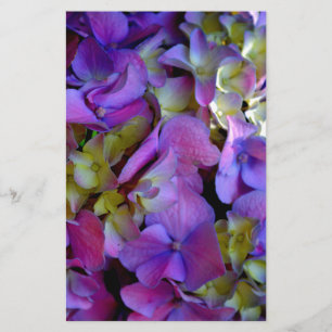 Magenta Lila-blaugelbe Hydrangeas-Blume Briefpapier