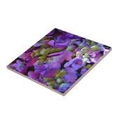 Magenta Lila-blaugelbe Hydrangeas-Blume Fliese (Seite)
