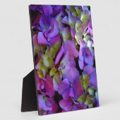 Magenta Lila-blaugelbe Hydrangeas-Blume Fotoplatte (Seite)