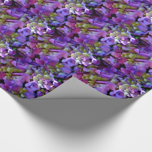 Magenta Lila-blaugelbe Hydrangeas-Blume Geschenkpapier (Ecke)