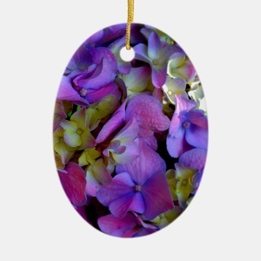 Magenta Lila-blaugelbe Hydrangeas-Blume Keramik Ornament (Vorne)