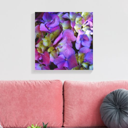 Magenta Lila-blaugelbe Hydrangeas-Blume Leinwanddruck (Insitu (Wohnzimmer))