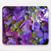 Magenta Lila-blaugelbe Hydrangeas-Blume Mousepad (Vorne)