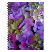 Magenta Lila-blaugelbe Hydrangeas-Blume Notizblock (Vorderseite)