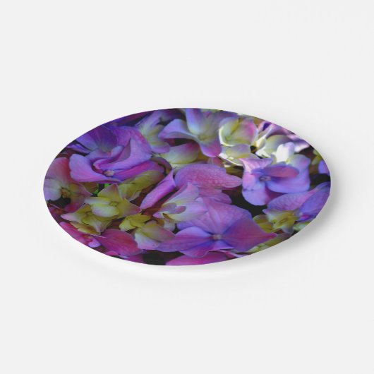 Magenta Lila-blaugelbe Hydrangeas-Blume Pappteller (Schrägansicht)