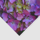 Magenta Lila-blaugelbe Hydrangeas-Blume Seidenpapier (Ausschnitt)