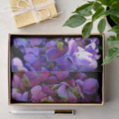 Magenta Lila-blaugelbe Hydrangeas-Blume Seidenpapier (Geschenk)