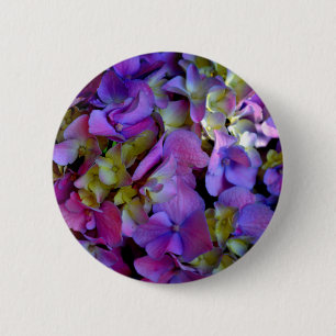 Magenta Lila Hydrangeas Lila-gelb Button