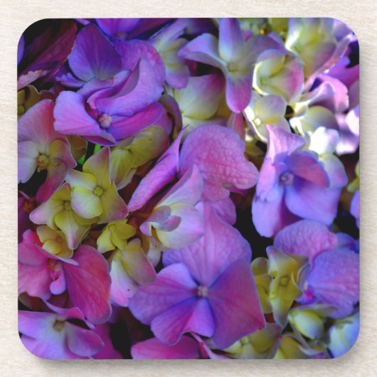 Magenta Lila Hydrangeas Lila-gelb Getränkeuntersetzer (Vorderseite)