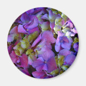 Magenta Lila Hydrangeas Lila-gelb Magnet (Vorne)