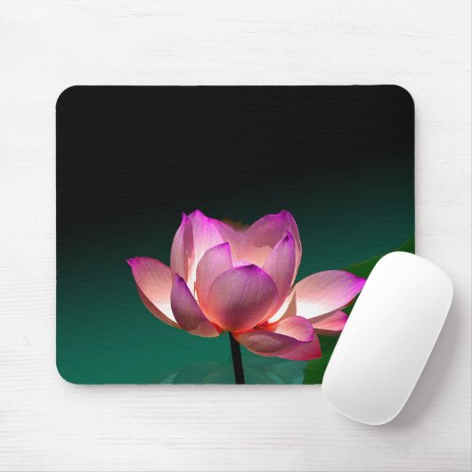 Magenta Lotus in voller Blüte, Mousepad (Mit Mouse)