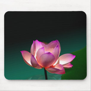 Magenta Lotus in voller Blüte, Mousepad