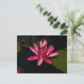 Magenta Lotus Wasserlilie Postkarte (Stehend Vorderseite)