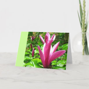 Magenta Magnolia Grußkarte Karte
