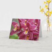 Magenta Orchids Blank Note Card Karte (Gelbe Blume)