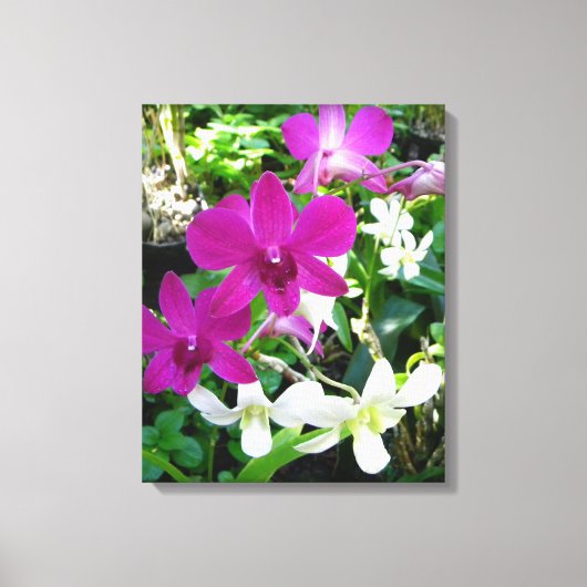 Magenta Orchids Wrapped Canvas Leinwanddruck (Vorderseite)