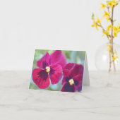 Magenta Pansy Blume aus dem Garten Gertie Karte (Gelbe Blume)
