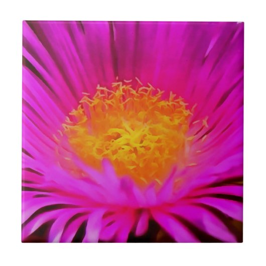Magenta Pink Aster Blume Kunst Fliese (Vorderseite)