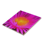 Magenta Pink Aster Blume Kunst Fliese (Seite)