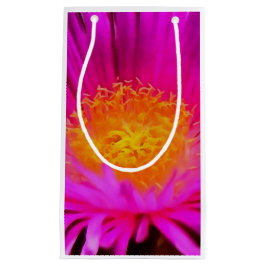 Magenta Pink Aster Blume Kunst Kleine Geschenktüte