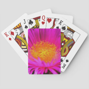 Magenta Pink Aster Blume Kunst Spielkarten