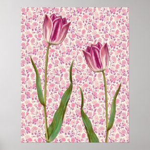 Magenta Pink Tulip Blume Vintag Art Poster