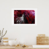Magenta Poster (Küche)